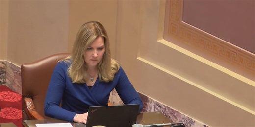 Question of whether Sen. Nicole Mitchell should resign dividing DFL