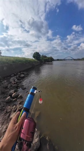 What in the name of Thors hammer is this? | McQuillan's Home Stay and Fishing Chom Bueng, Ratchaburi