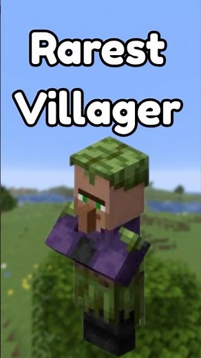 The Rarest Villager in Minecraft!