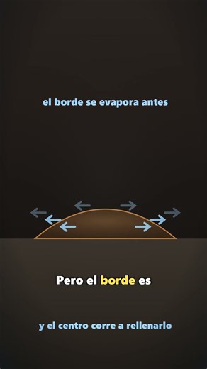 Por qué el café deja un anillo: el borde de la gota no se mueve