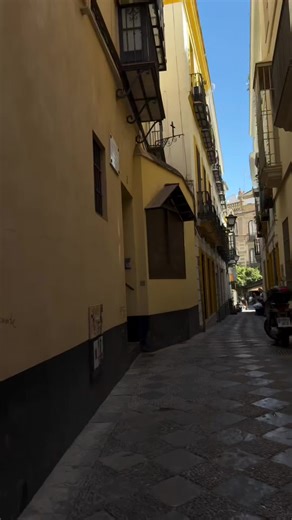 Videos de 💃Monica Martin 💃🪭 (@monicamartin400) con “sonido original - Rosy”