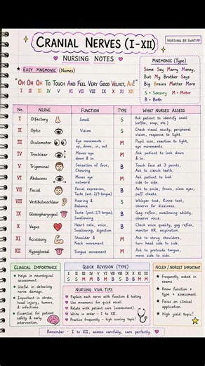 12 Cranial Nerves Made Easy 🧠 | Easy Mnemonics + Functions | Nursing Notes | B.Sc Nursing | NORCET