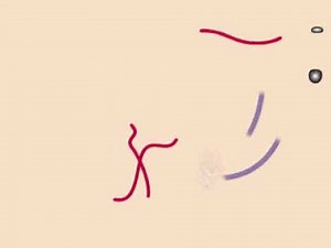 Hiv retrovirus life cycle