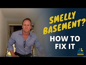 How to Make a Basement Smell Better
