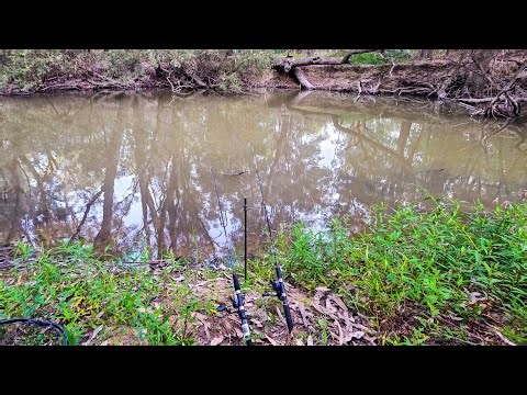 The Sunset Bite | Fishing In The King River In Wangaratta