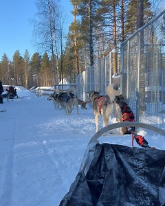 5.8K views · 390 reactions | Pilot Drew on Reels | Facebook