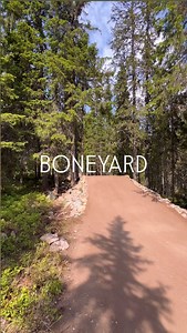 B O N E Y A R D 🔥 #trysil #skistartrysil #trysilbikearena #pinkbike #trailbuilding | Trysil Bike Arena