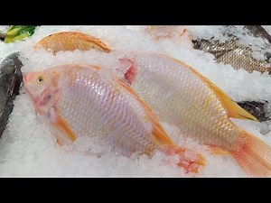 Top 10 Most Profitable Seafood Farming Ideas That Can Make You Rich | Smart Agri Hub