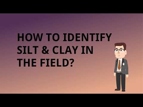 How identify silt and clay in the field?