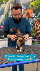 😻Nu ca nu imi plac sau ca nu as adora aceste rase, dar au probleme de sanatate grave fie congenitale, fie dobandite de-a lungul vietii⚠️ | Cabinet Veterinar Sfântul Modest