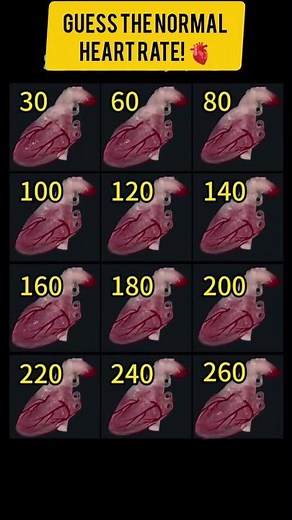 Guess the Normal Heart Rate! 🫀