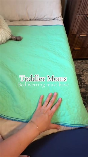 Essential Tips for Potty Training Your Toddler