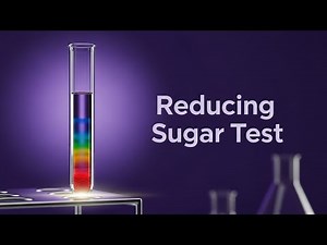 Test for Reducing Sugars — LearnStalk Biology