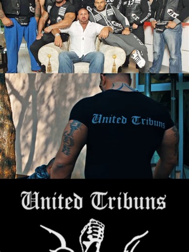 Armin Ćulum: Oslobađanje iz zatvora