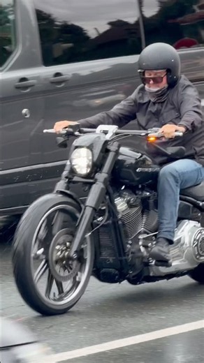 Harley Breakout#harley #breakout t