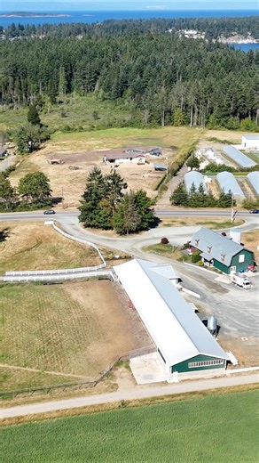 2025 was another huge year of growth for us, and we're feeling pretty humbled and grateful 🥹 This place runs on early mornings, dirty hands, shared laughs, long days, and a team that shows up for each other 365 days a year. Our crew is the heart of Springford Farm, and this video really captures all that goes into life here - the work, the fun, the joy, and the deep love we have for this farm and for one another. And to our customers and community.. thank you for continuing to support us, cheer