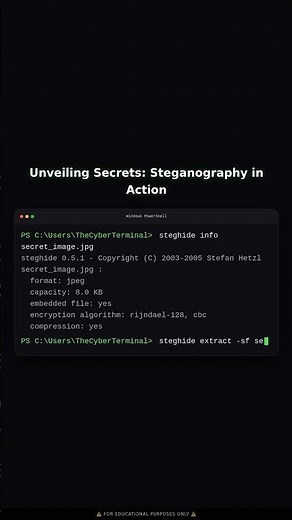 Extracting Hidden Data with Steganography | Educational