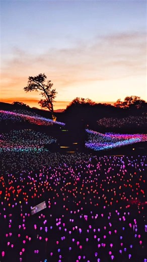 1.7K views · 22 reactions | Sensorio 4380 CA-46, Paso Robles, CA 93446 Sensoriopaso.com #roadtrip #placestovisit #hiden #hiddengems #travel #placestogo #viralreel #fyp #parati #elviajedekarla #hiking #sensorio #pasorobles | Karla Castillo | Facebook