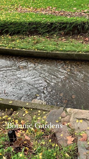 2.1K views · 56 reactions | Adelaide Botanic Garden #adelaide | Welcome to SA | Facebook