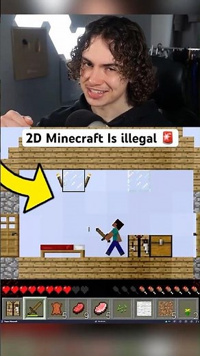 2D Minecraft Is illegal 🚨