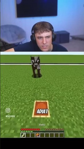 These Minecraft Facts Are Crazy..