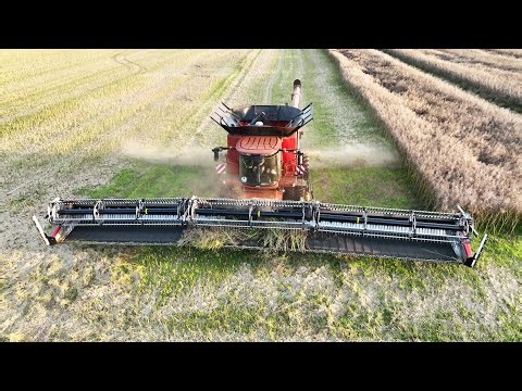 Case IH 9260 Axial-Flow with 50ft. wide MacDon FD250 Header cutting Canola | Big Harvest