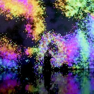 230 reactions | On view at “Future World: Where Art Meets Science”...