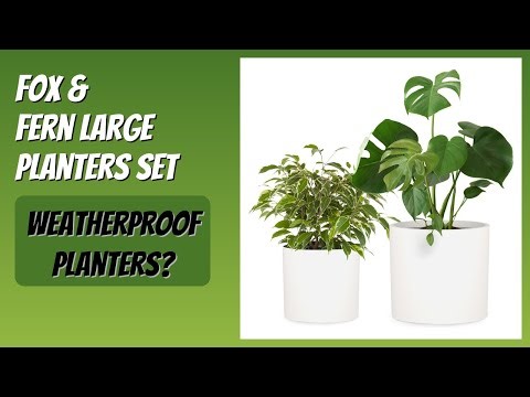 REVIEW (2026): Fox & Fern Large Planters Set. Features