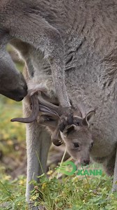 18K views · 249 reactions | Excited about my first adventure | Amazing Video | Facebook