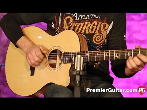 Review Demo - PRS SE A15AL Alex Lifeson Thinline Signature