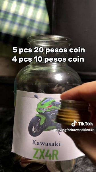 Day 6 of saving money until I can buy Kawasaki ZX4R.