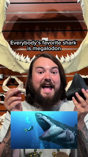 Tyrannostorus on TikTok