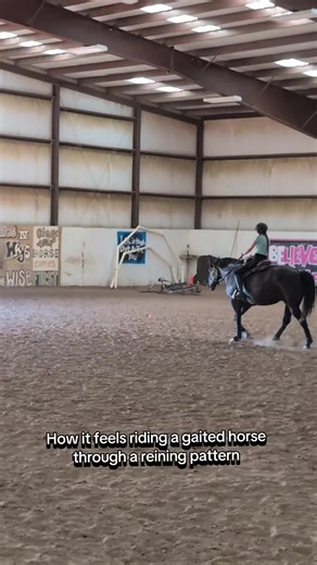 just riding baby Luna through a reining pattern 🤪 #releasethebaby #gaitedhorses #fyp #fy #reining