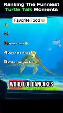 Ranking The Funniest Turtle Talk Moments 🐢