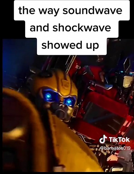 Transformers Shockwave and Soundwave: Brothers in Battle