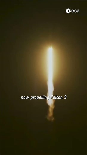 Launch of Crew-12 with our astronaut Sophie Adenot to the International Space Station! 👩‍🚀🚀✨