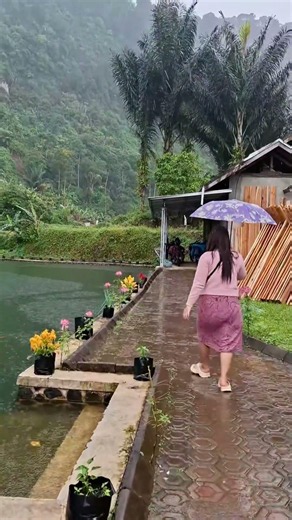 Rainy Day Walk by the Lake 🌧️☔ So Peaceful & Aesthetic #Shorts