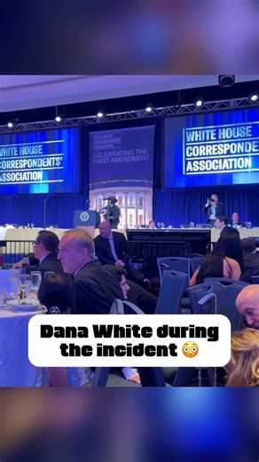 Lmaooo Dana White's reaction