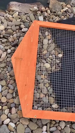 RAWWFishing on Reels