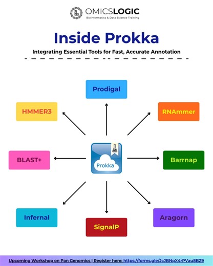 🌟 𝑷𝒓𝒐𝒌𝒌𝒂 𝑻𝒐𝒐𝒍 𝒇𝒐𝒓 𝑮𝒆𝒏𝒐𝒎𝒆 𝑨𝒏𝒏𝒐𝒕𝒂𝒕𝒊𝒐𝒏: Identify genes, rRNA, tRNA, and functional elements in bacterial genomes efficiently 🧬 Join our 𝟒-𝐃𝐚𝐲 𝐇𝐚𝐧𝐝𝐬-𝐎𝐧 𝐎𝐧𝐥𝐢𝐧𝐞 𝐖𝐨𝐫𝐤𝐬𝐡𝐨𝐩: 𝐏𝐚𝐧-𝐆𝐞𝐧𝐨𝐦𝐞 𝐀𝐧𝐚𝐥𝐲𝐬𝐢𝐬 (𝐁𝐚𝐜𝐭𝐞𝐫𝐢𝐚𝐥 𝐖𝐡𝐨𝐥𝐞 𝐆𝐞𝐧𝐨𝐦𝐞 𝐒𝐞𝐪𝐮𝐞𝐧𝐜𝐢𝐧𝐠, 𝐀𝐧𝐭𝐢𝐦𝐢𝐜𝐫𝐨𝐛𝐢𝐚𝐥 𝐑𝐞𝐬𝐢𝐬𝐭𝐚𝐧𝐜𝐞, 𝐂𝐥𝐢𝐧𝐢𝐜𝐚𝐥 𝐃𝐢𝐚𝐠𝐧𝐨𝐬𝐭𝐢𝐜𝐬) 🧬💻 and explore the complete workflow from genome assembly to pan-genome construction