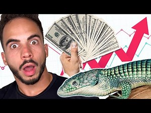 How to Build a Successful Reptile Business: 3 Key Tips