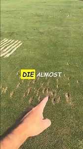 The secret to a perfect golf course #golf #maintenance #satisfying #golfer #tips