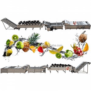 [Hot Item] Automatic Fruit and Vegetable Washing and Processing Line