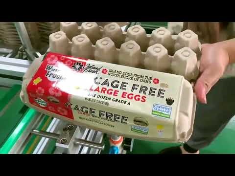 Egg tray sticker labeling machine automatic