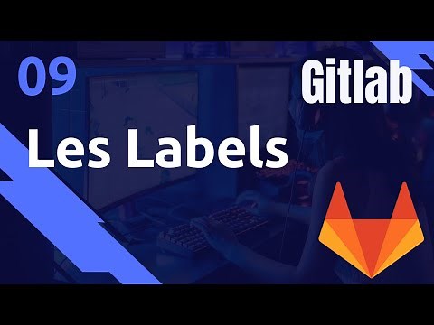 Labels : ticket tracking - #GITLAB 09