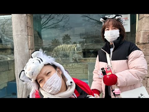 [Long] Natsuhime Stroll 2026 First Edition This year! Start here!