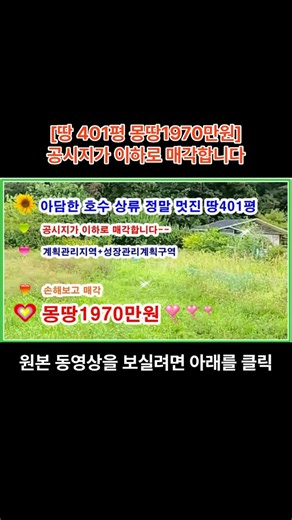 [저수지 상류 정말 멋진 땅] 계획관리지역 + 성장관리계획구역 401평 저수지 상류 63미터 지점 공시지가 이하로 매각 1970만원#shorts