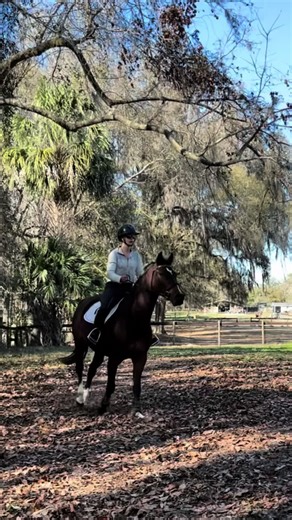 That was a funky distance! Whoops! 😬 #fyp | funky line dance