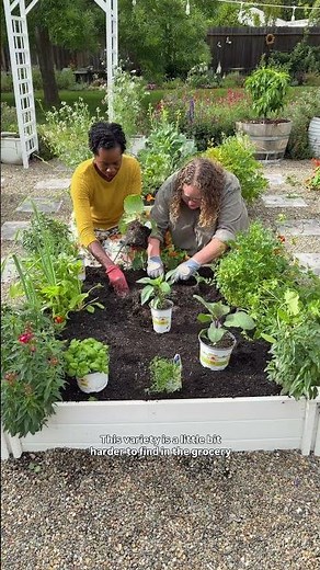 The Secret to a Garden that Produces All Summer Long 🍅 🌿 | The Home Depot