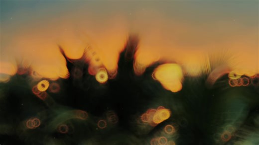 Gửi thân giữa hồng Trần, giữ lòng bình thản, tỉnh táo ung dung, bình an tự tại 🙏🏼. #annhien